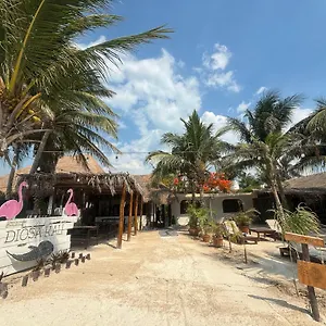La Diosa Kali Beach Front Isla Holbox